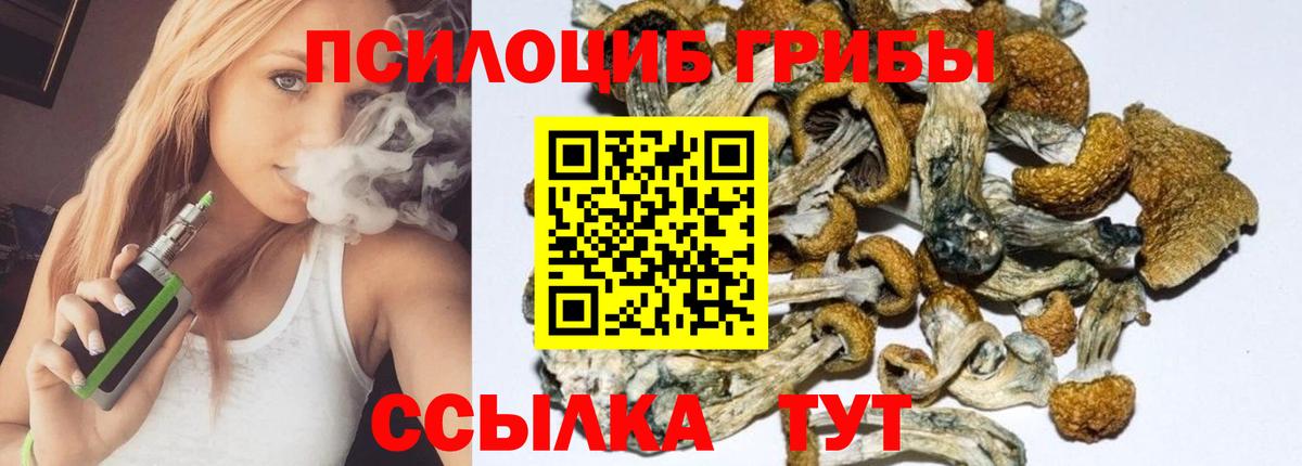 цена   Галлюциногенные грибы GOLDEN TEACHER  Вход с VPN  Мценск 
