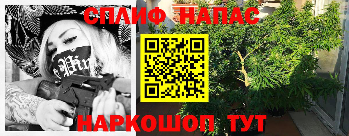 Мценск  Шишки марихуана SATIVA & INDICA  Конопля White Widow  Вход с VPN  Бошки Шишки ГИДРОПОН  Шишки марихуана White Widow 